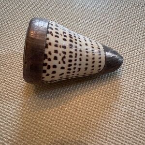 Decorative Cone Shell
